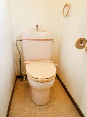 gC@`Toilet`  YEXbLEKȃEHVbgtgCł낰ԂłB  gC͖g킴𓾂Ȃ́BۂłˁB