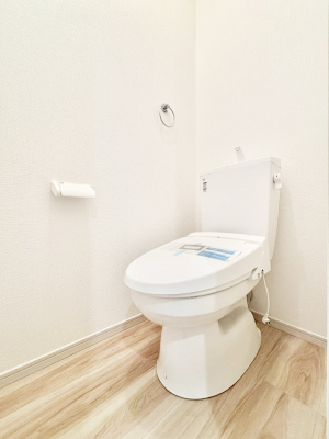gC@`Toilet`@YEXbLEKȃEHVbgtgCł낰ԂłBgC͖g킴𓾂Ȃ́BۂłˁBgC2̂Œ̍Gɕ֗łI