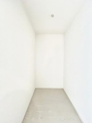 ̑@2`Walk-in Closet`@̗mĂVɂȂɂEH[NCN[[bgBmȊOɂAigȂƓdX[cP[XAXgbNiȂǉłЕtԂłB