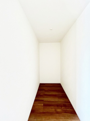 ̑@Q`Walk-in Closet`@̗mĂVɂȂɂEH[NCN[[bgBmȊOɂAigȂƓdX[cP[XAXgbNiȂǉłЕtԂłB