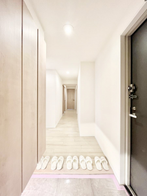 ց@`Entrance`@Ƃ̒łql}ŏ̏ꏊł錺ւ́AƂ̈ۂ̂̂łILxȌ֎[ŁAYɕۂƂo܂􌺊ւɂ͂Ղ[̉ʔI