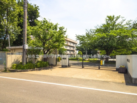 周辺環境　中学校 750m 柏市立中原中学校