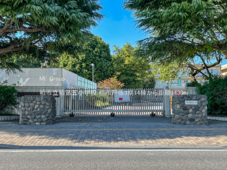 周辺環境　小学校 1430m 柏市立柏第五小学校