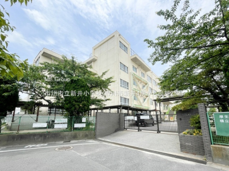 ���ӊ��@���w�Z 250m �s��s���V�䏬�w�Z