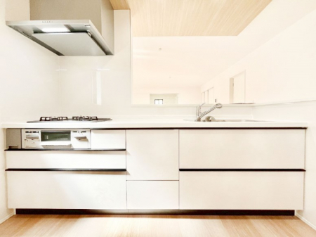 �L�b�`���@�V�X�e���L�b�`���̓V���v���ŃX�b�L�������O���̗��Ȃ��f�U�C���Ȃ̂ŉi���g�������I