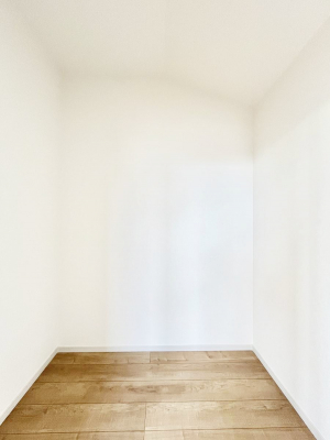 ̑@P`Walk-in Closet`@̗mĂVɂȂɂEH[NCN[[bgBmȊOɂAigȂƓdX[cP[XAXgbNiȂǉłЕtԂłB