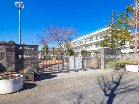 ӊ@wZ 850m 䑷qsΖk䒆wZ