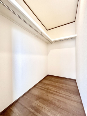 ̑@`Walk-in Closet`@̗mĂVɂȂɂEH[NCN[[bgBmȊOɂAigȂƓdX[cP[XAXgbNiȂǉłЕtԂłB