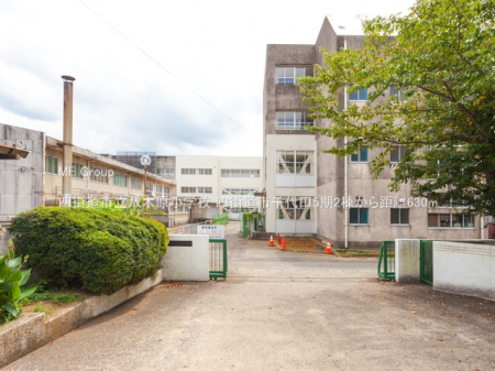 ӊ@wZ 630m lXs،wZ