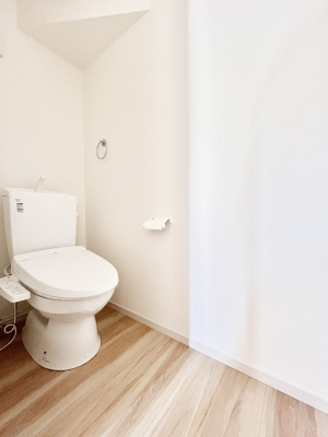 gC@P`Toilet`@̂鐅gC̓EHVbgtłgC͖g킴𓾂Ȃ́BۂłˁBgC2̂Œ̍Gɕ֗łI