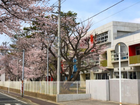 ӊ@wZ 1000m tsԉwZ