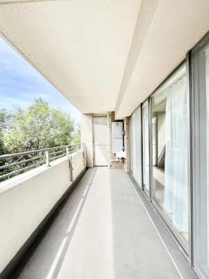 oRj[@LXoRj[ł󕨂C悭܂ 