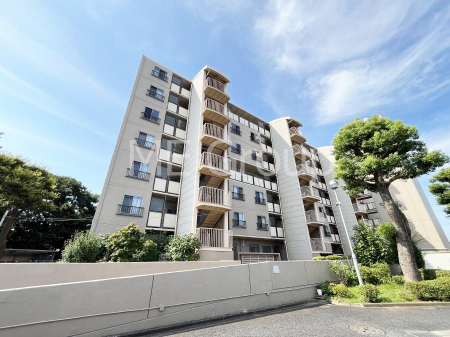 nOώʐ^@Ƃ肪Ί𐶂ސSn悢