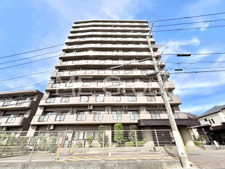 nOώʐ^@Ƃ肪Ί𐶂ސSn悢 