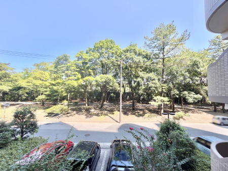 ���̑��@���Z�܂�����̒��]�ł��I  