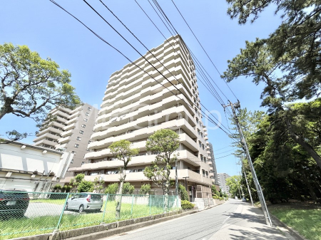 ���n�O�ώʐ^�@��������n�܂�V�����������������܂�  