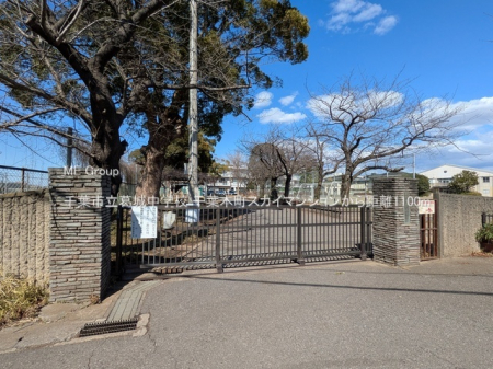 ӊ@wZ 1100m ts钆wZ