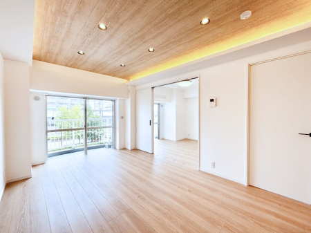 ̑ρ@傫ȑ炽Ղ̗zƕ_CjO  