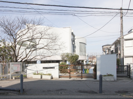 ���ӊ��@�c�t���E�ۈ牀 800m �_���F�肱�ǂ���