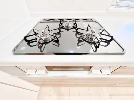 ���̑����ρ@�K�X�R�����͂r���Z���T�[���ځB�Η͒��߂�ł��t���E�����Y����h���ł���܂��B