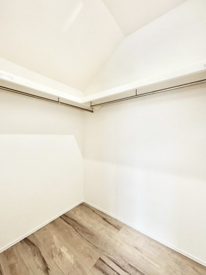 ̑@`Walk-in Closet`@̗mĂVɂȂɂEH[NCN[[bgBmȊOɂAigȂƓdX[cP[XAXgbNiȂǉłЕtԂłB