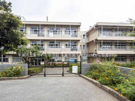 ӊ@wZ 800m tsߑ䏬wZ