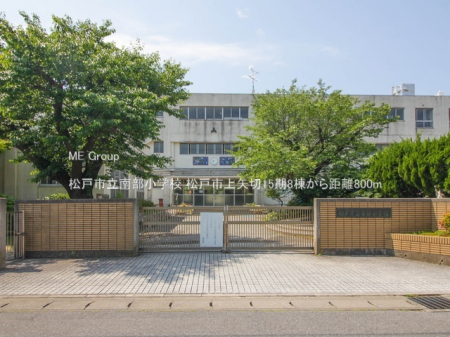 ӊ@wZ 800m ˎs암wZ