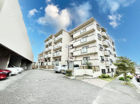 nOώʐ^@Ƃ肪Ί𐶂ސSn悢