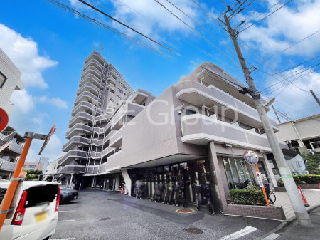 nOώʐ^@Ƃ肪Ί𐶂ސSn悢