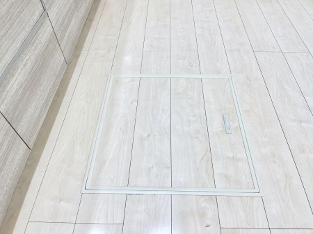 ���̑����ρ@�������[�t���I���p�i�E���p�i�̎��[�ɂ��劈��B