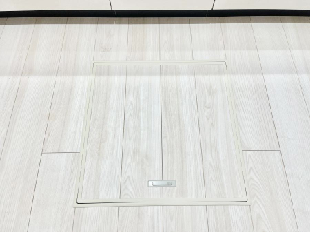 ���̑����ρ@�������[�t���I���p�i�E���p�i�̎��[�ɂ��劈��B