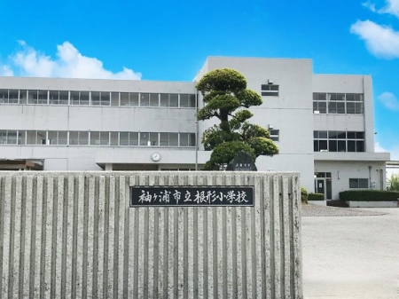 ���ӊ��@���w�Z 2500m ���P�Y�s�� ���`���w�Z