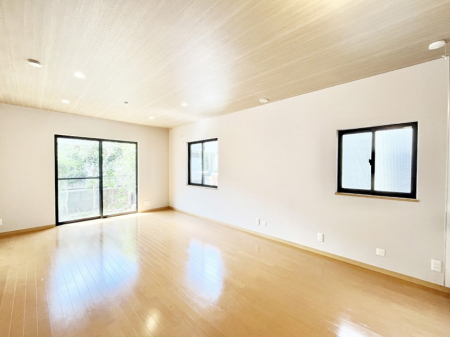 rO@傫ȑ炽Ղ̗zƕ郊rO