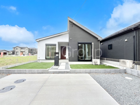 nOώʐ^@炵₷ƋSn̗ǂɂVvŖÔȂfUC I