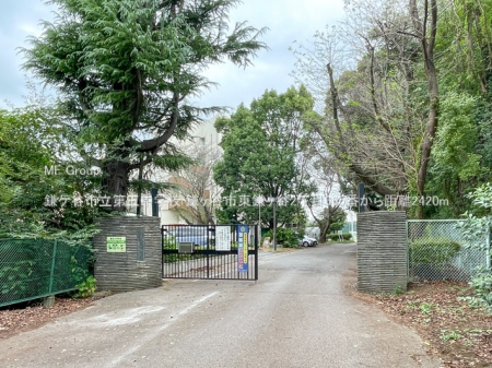 ӊ@wZ 2420m PJsܒwZ