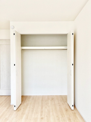 [@C`Closet`@ǖʃN[[bg΃^XuKvȂAôȂXbLԂێł܂BꂽXy[XLɊpłBߗނ̕iȂǂՂ[o܂ˁ