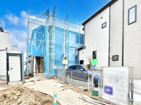 ���n�O�ώʐ^�@����z���ł��Ƒ��̏Ί���P��