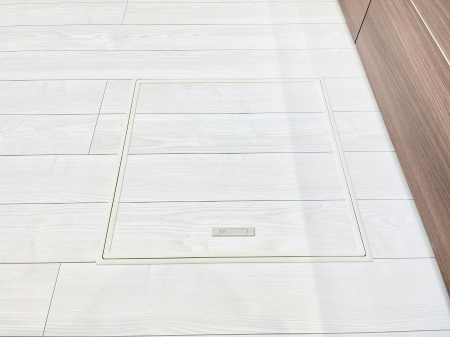 ���̑����ρ@�������[�t���I���p�i�E���p�i�̎��[�ɂ��劈��B