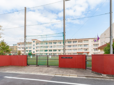 ӊ@wZ 440m 旧xؒwZ