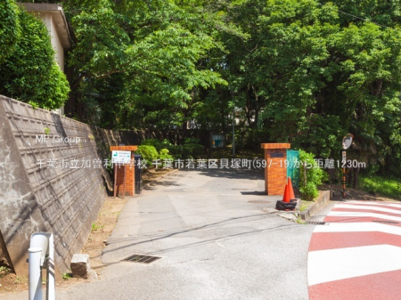 ���ӊ��@���w�Z 1230m ��t�s�����]�����w�Z