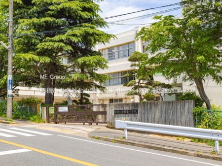 ӊ@wZ 550m Ds䏬wZ