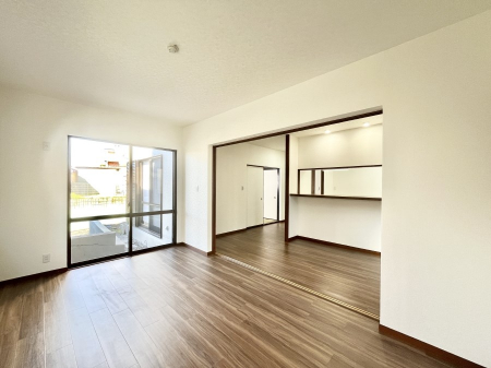 rO@傫ȑ炽Ղ̗zƕ郊rO