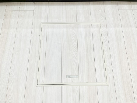 ���̑����ρ@�������[�t���I���p�i�E���p�i�̎��[�ɂ��劈��B