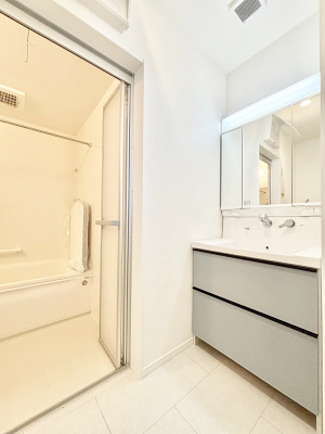 ���̑��@���ʏ��͂�Ƃ�̂���X�y�[�X�ŁA�g�x�x�������̃X�L���P�A���S�ɗ]�T�������Ăł������ł��B