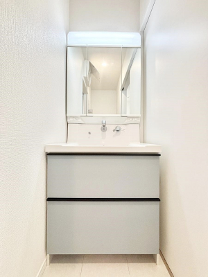 ���ʑ�E���ʏ��@�X�^�C�����O�ɕ֗��ȎO�ʋ��A�~���[�L���r�l�b�g�ōׂ������X�b�L��