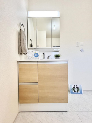 ʑEʏ@傫₷OʋŐʑ́AgȂ݃`FbN┧̂ɂ߂łB 