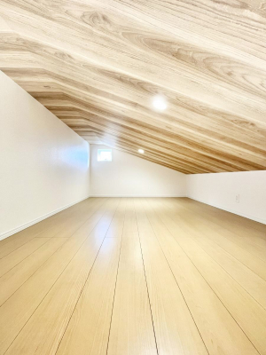 [@tg͎[QɂȂǁAACfAŉKԂɑϐgI ql̔閧nɂIH 