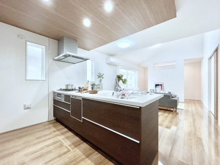 �L�b�`���@�J�E���^�[�z���Ɋy����������ׂ�B�����̂������������Ɣ��������Ȃ肻���ł��ˁB 