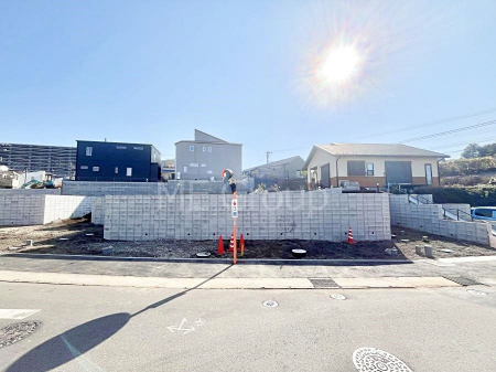 nOώʐ^@Ƃ肪Ί𐶂ސSn悢