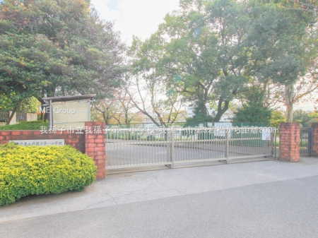 ���ӊ��@���w�Z 800m �䑷�q�s���䑷�q��ꏬ�w�Z